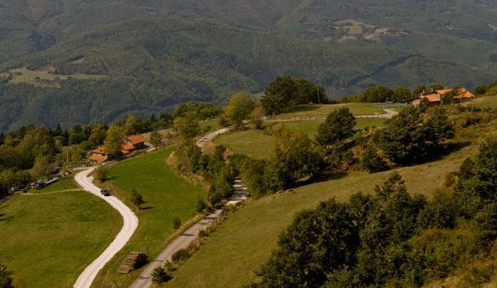 Agriturismo Il Serrino サン・マルチェッロ・ピストイエーゼ エクステリア 写真
